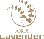 Forus - Lavender